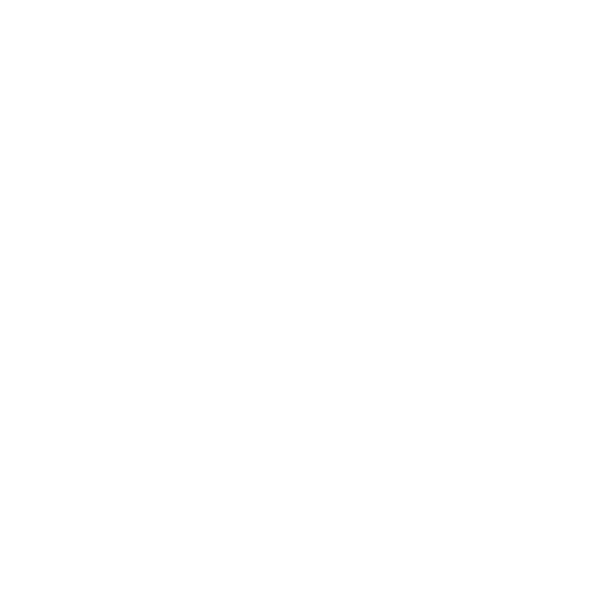 TruenoRayo Fest 2024